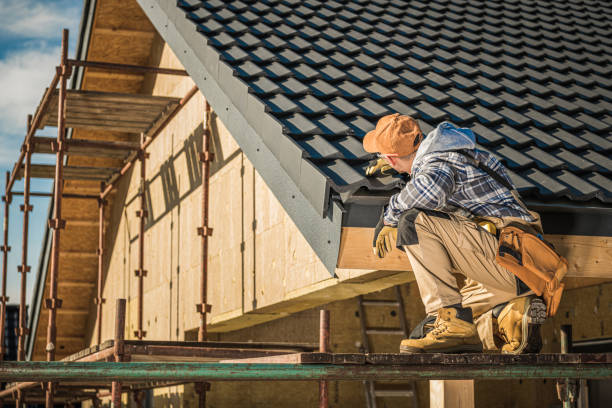 Best Roof Moss and Algae Removal  in Lincoln, ID